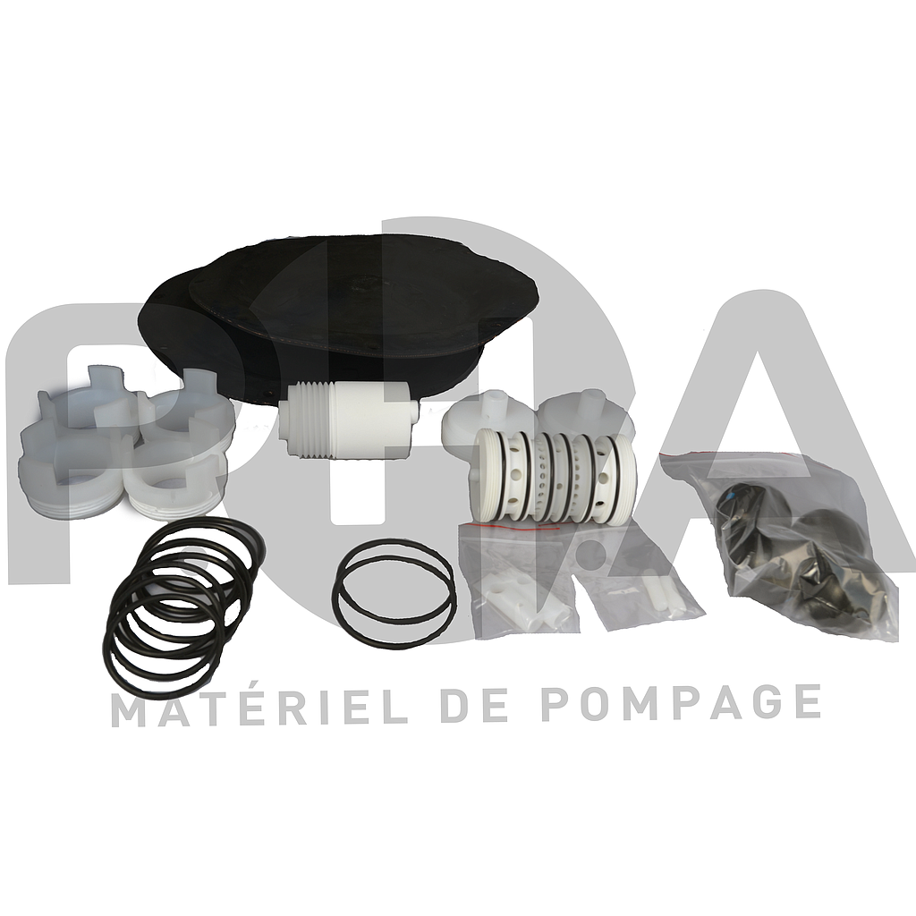 Kit de maintenance pour pompe DM40