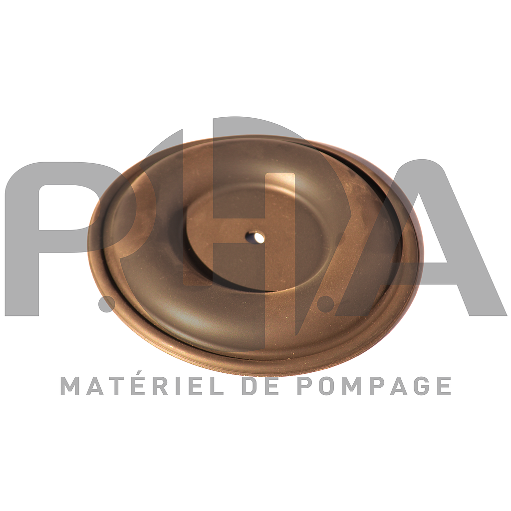 Membrane en Viton pour pompe P38