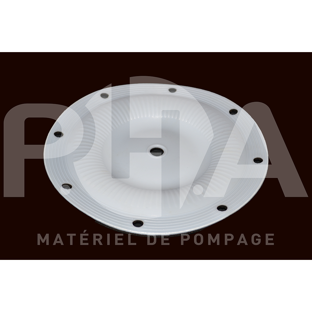 [PA0084] Membrane ONE-UP pour pompe ARO 1" 6661